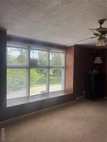 $250,000 | 197 Wayne 340, Piedmont, MO 63957