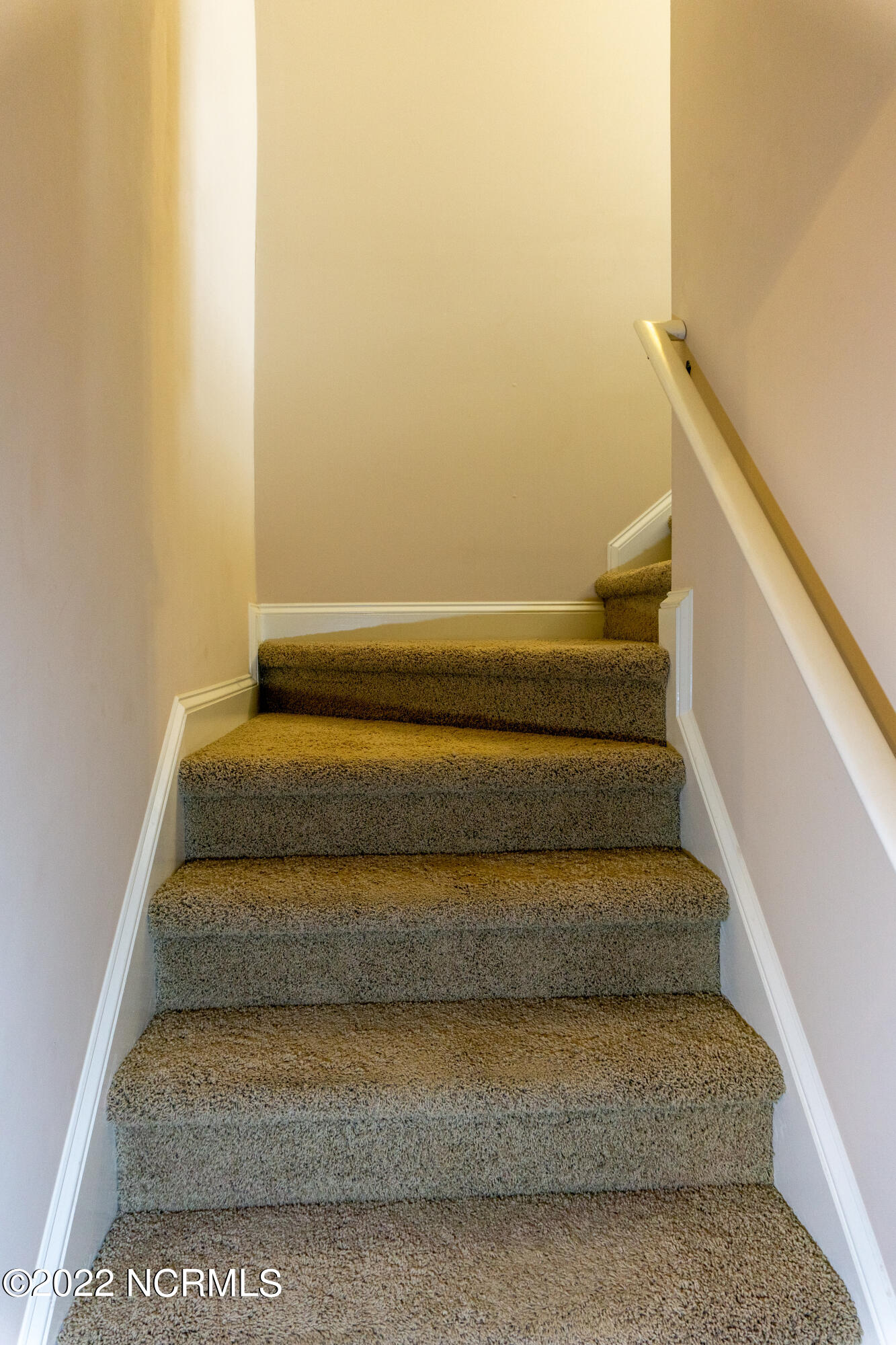 101 Coree Way New Bern, NC 28562 - Photo 19 of 26 DSC01933-HDR