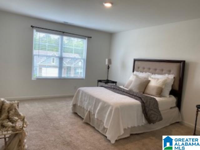 786 Valley Circle Leeds, AL 35094 - Photo 20 of 20