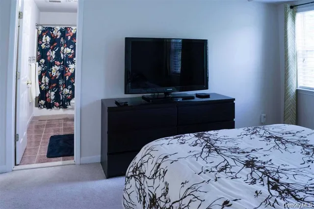 a bedroom with a bed and a television