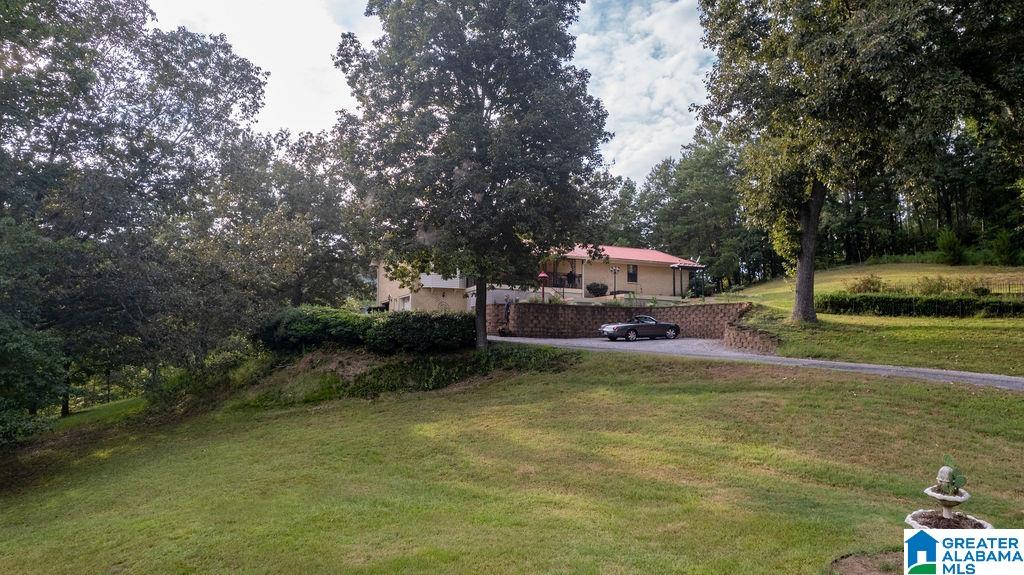 56230 North Highway 231 Oneonta, AL 35121 - Photo 57 of 62