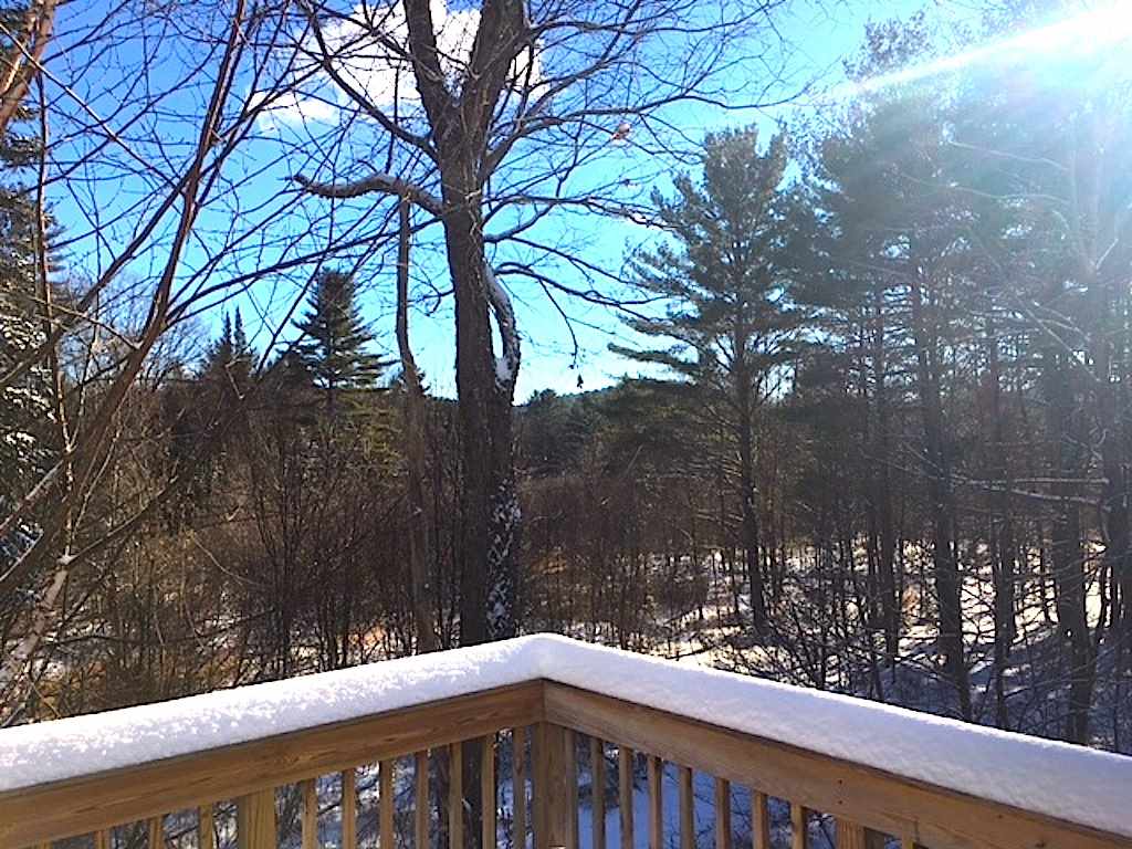 58 Hard Hack Road Holderness, NH 03245 - Photo 2 of 34