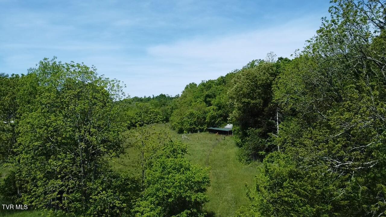Tbd Sugar Run Road Jonesville, VA 24263 - Photo 3 of 13 2026-05-15-11-39-05-365
