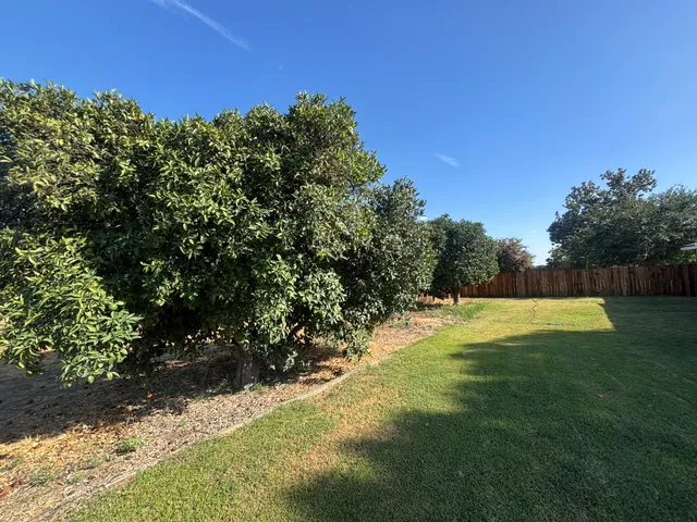 a backyard of a house