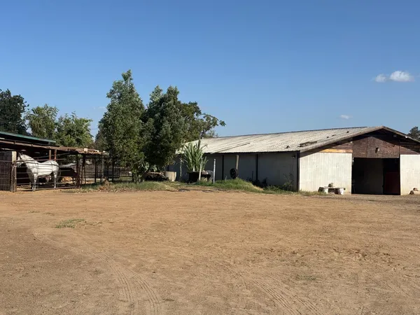 $775,000 | 19317 East Parlier Avenue, Reedley, CA 93654