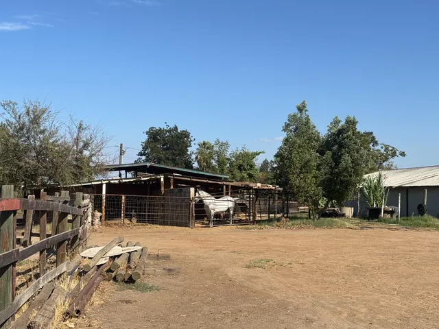a house with trees in the background