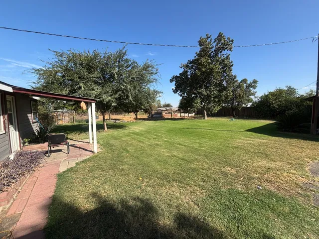 a view of a big yard with plants and large trees