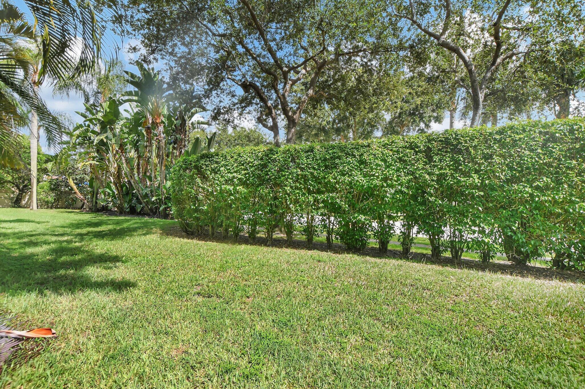 6682 Via Regina Boca Raton, FL 33433 - Photo 34 of 46 a view of a yard with a trees