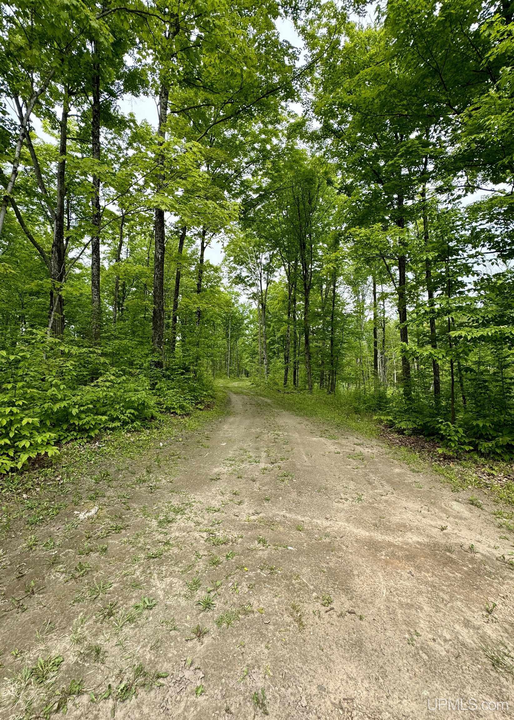 426 Rd Arnold Mi 49819 Road Felch, MI 49831 - Photo 10 of 45