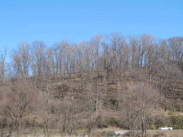 1435 Troy Ridge Road Tell City, IN 47586 - Photo 3 of 9