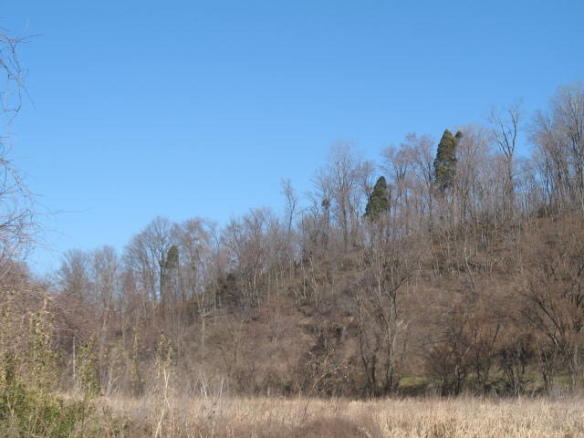 1435 Troy Ridge Road Tell City, IN 47586 - Photo 4 of 9