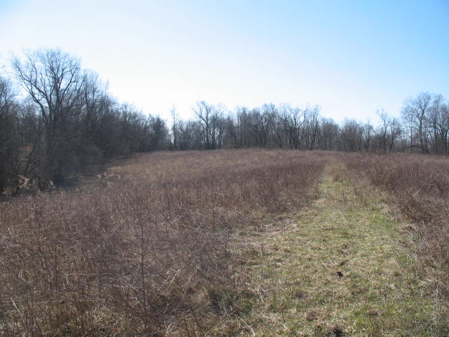 1435 Troy Ridge Road Tell City, IN 47586 - Photo 6 of 9