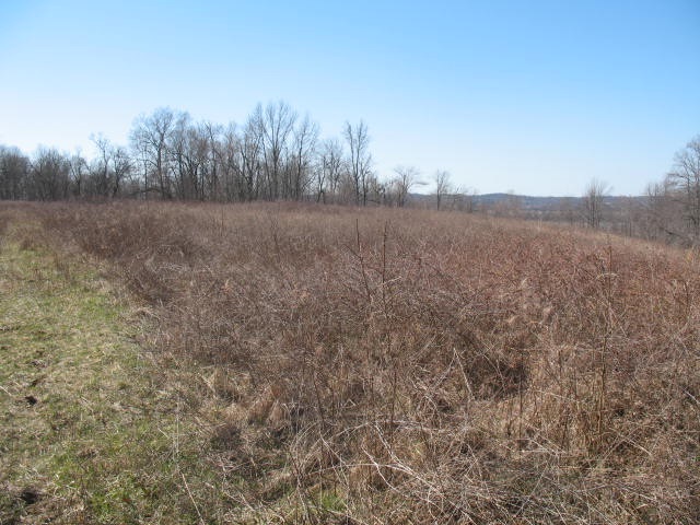 1435 Troy Ridge Road Tell City, IN 47586 - Photo 7 of 9