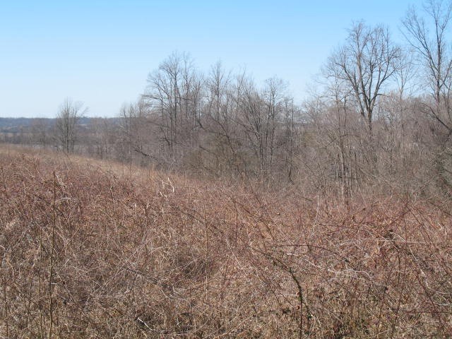 1435 Troy Ridge Road Tell City, IN 47586 - Photo 8 of 9