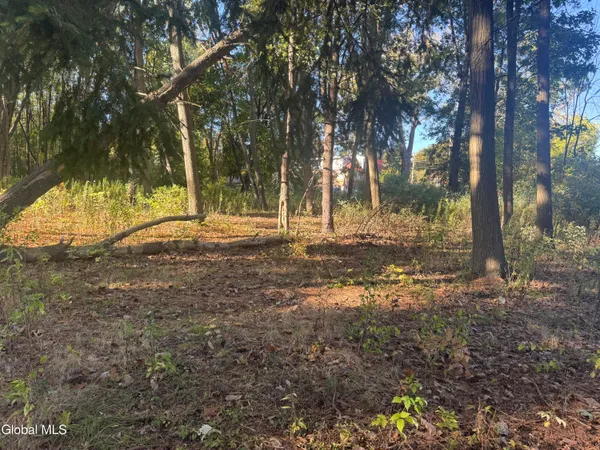 $99,000 | 2482 Troy Schenectady Road, Niskayuna, NY 12309