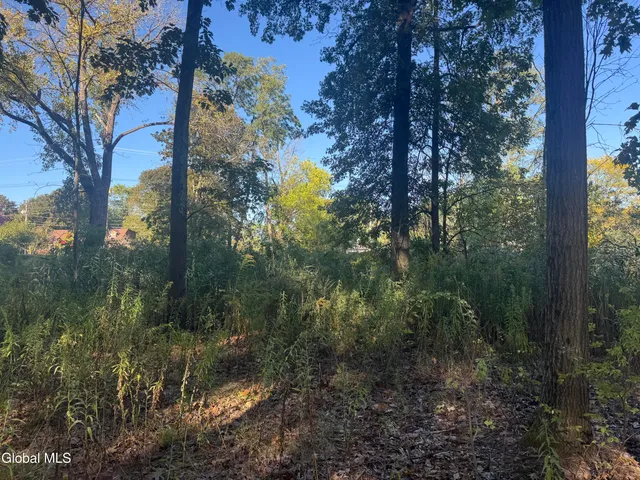 $99,000 | 2482 Troy Schenectady Road, Niskayuna, NY 12309