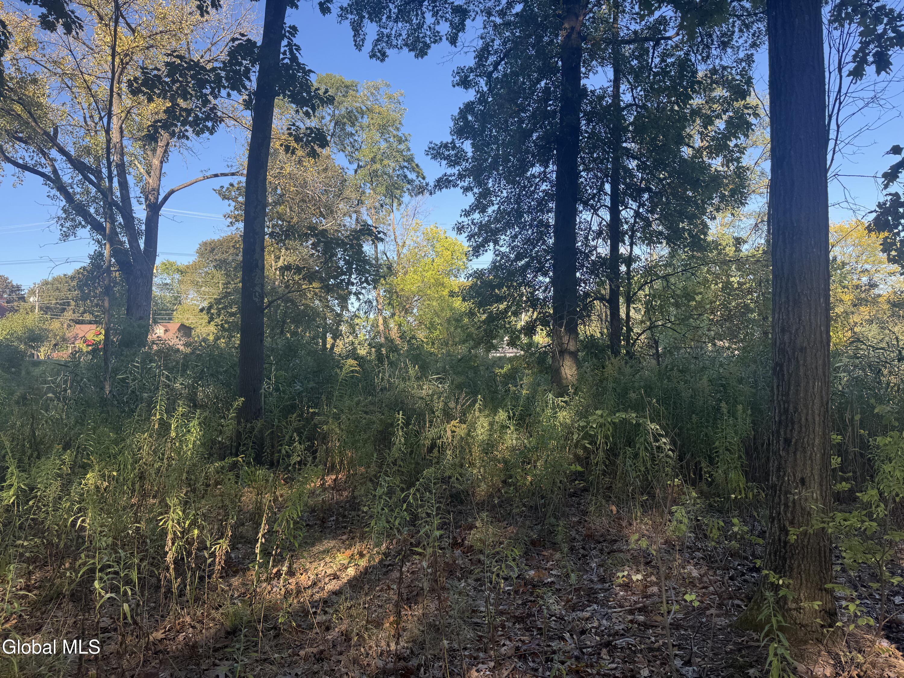 2482 Troy Schenectady Road Niskayuna, NY 12309 - Photo 2 of 11 IMG_5298