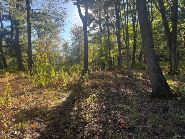 $99,000 | 2482 Troy Schenectady Road, Niskayuna, NY 12309