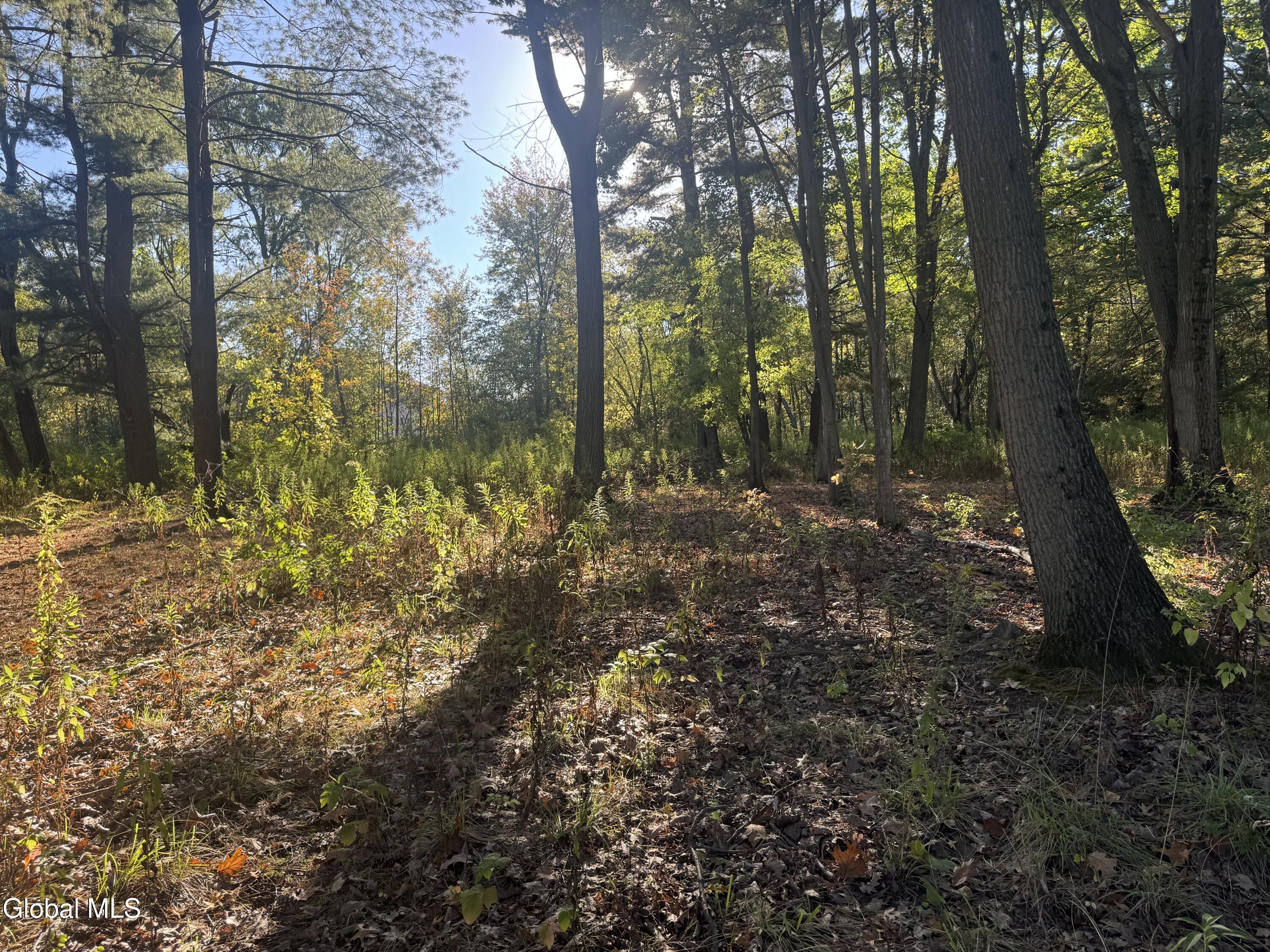 2482 Troy Schenectady Road Niskayuna, NY 12309 - Photo 3 of 11 IMG_5297