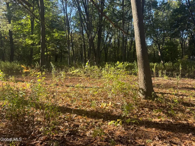 $99,000 | 2482 Troy Schenectady Road, Niskayuna, NY 12309