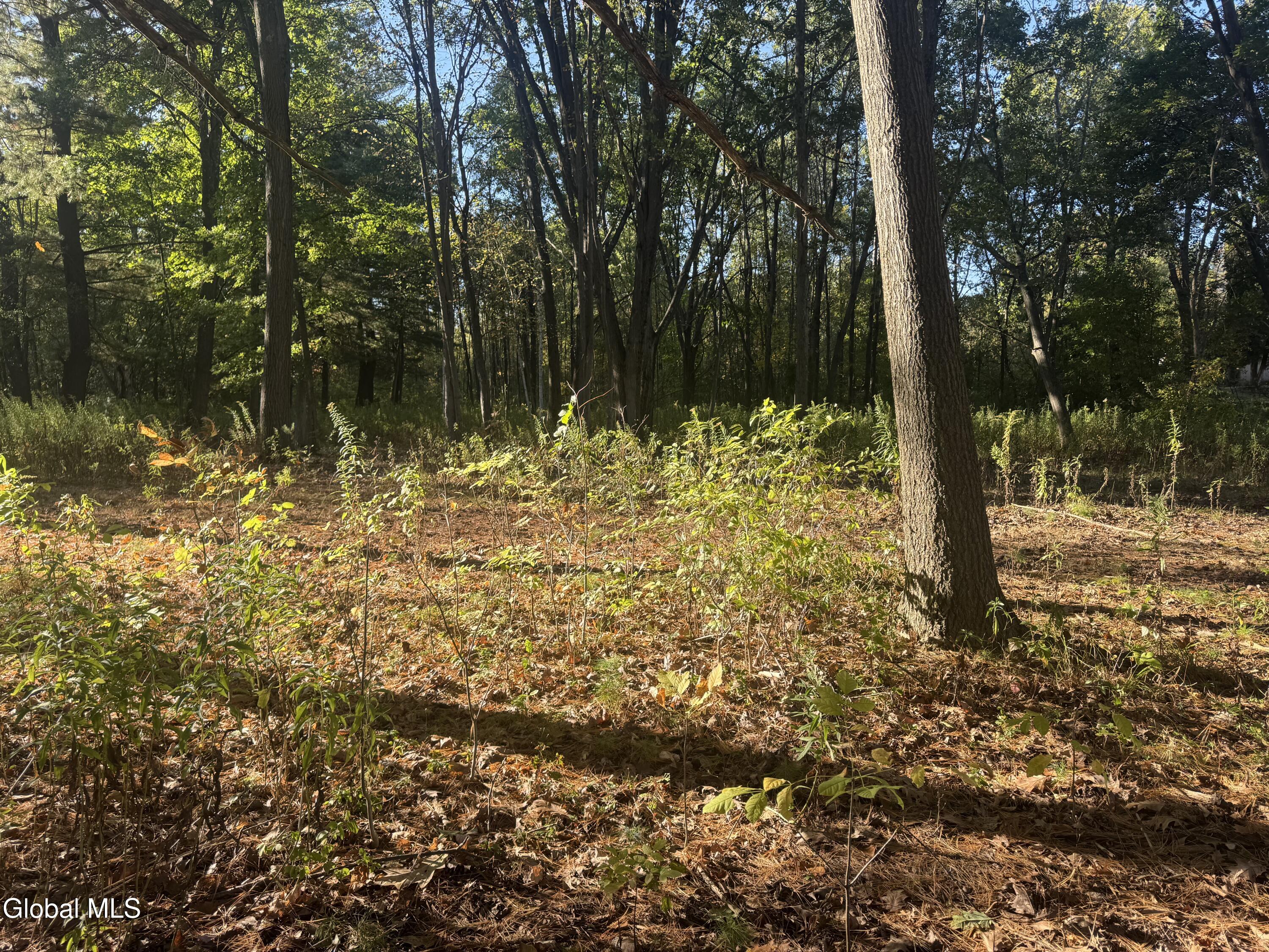 2482 Troy Schenectady Road Niskayuna, NY 12309 - Photo 4 of 11 IMG_5292