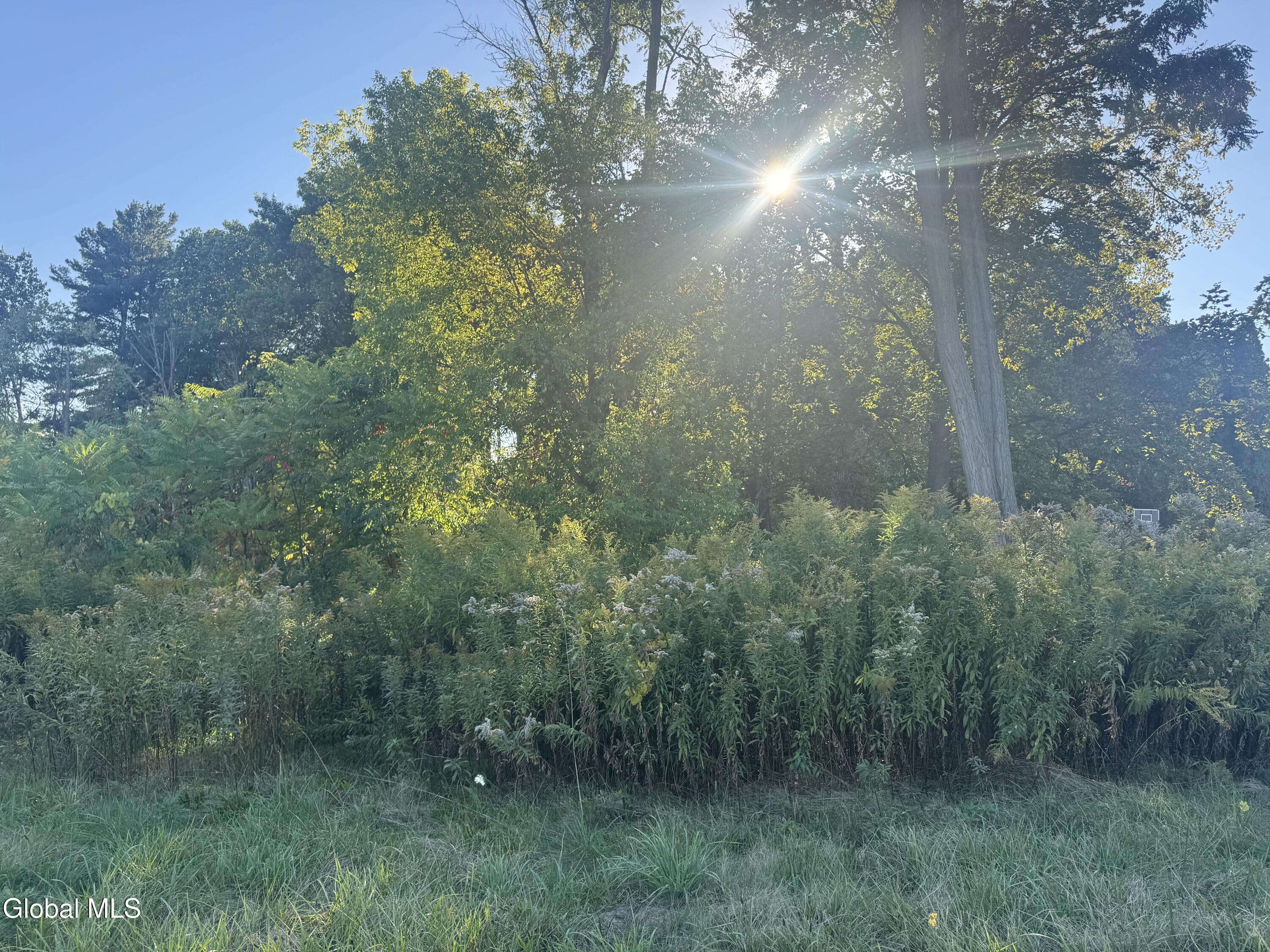 2482 Troy Schenectady Road Niskayuna, NY 12309 - Photo 5 of 11 IMG_5308