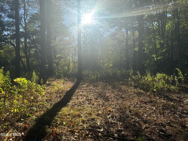 $99,000 | 2482 Troy Schenectady Road, Niskayuna, NY 12309