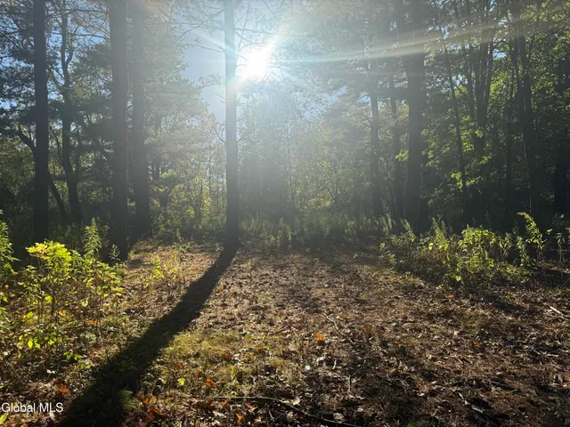 $99,000 | 2482 Troy Schenectady Road, Niskayuna, NY 12309