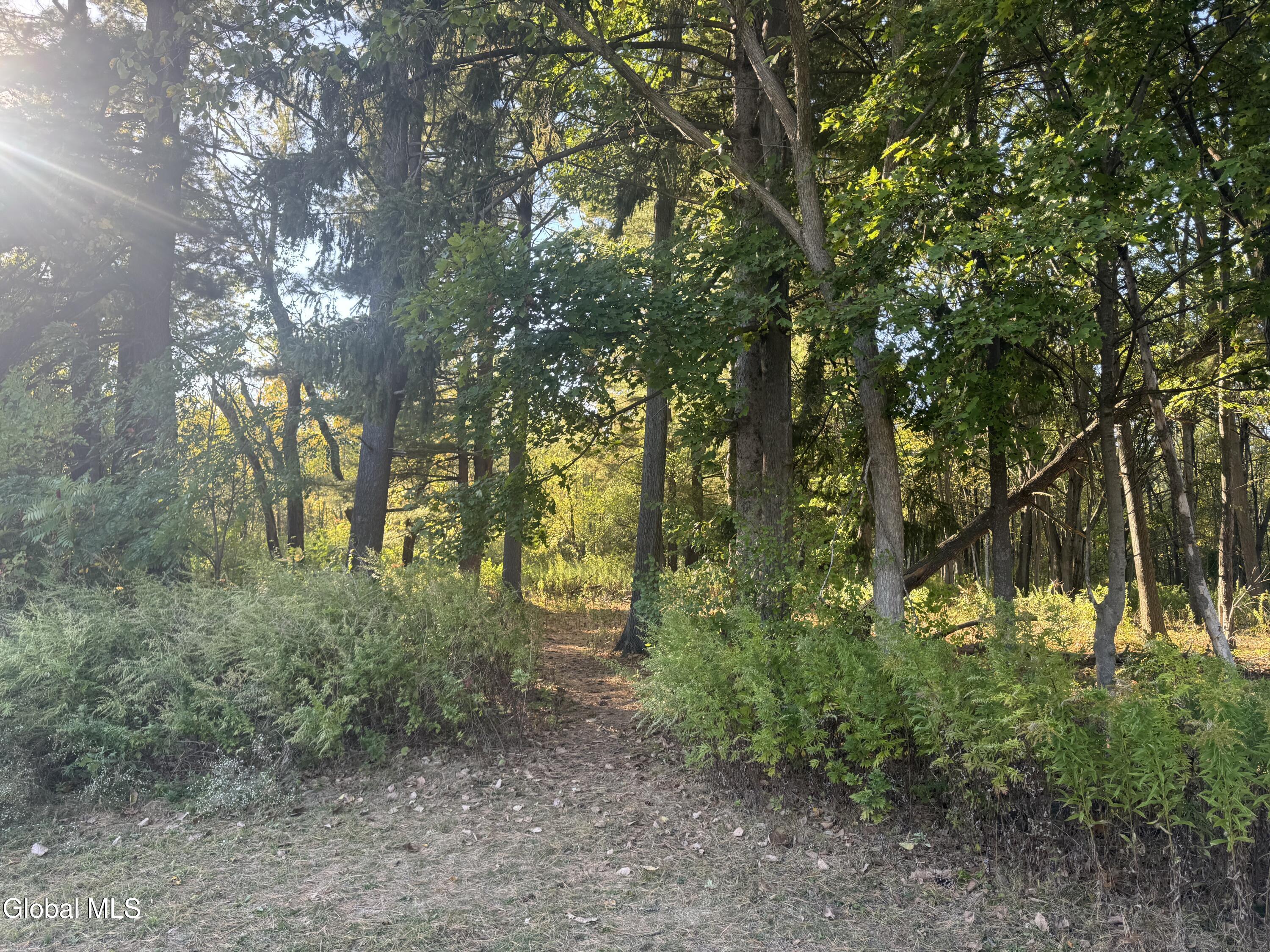 2482 Troy Schenectady Road Niskayuna, NY 12309 - Photo 8 of 11 IMG_5300