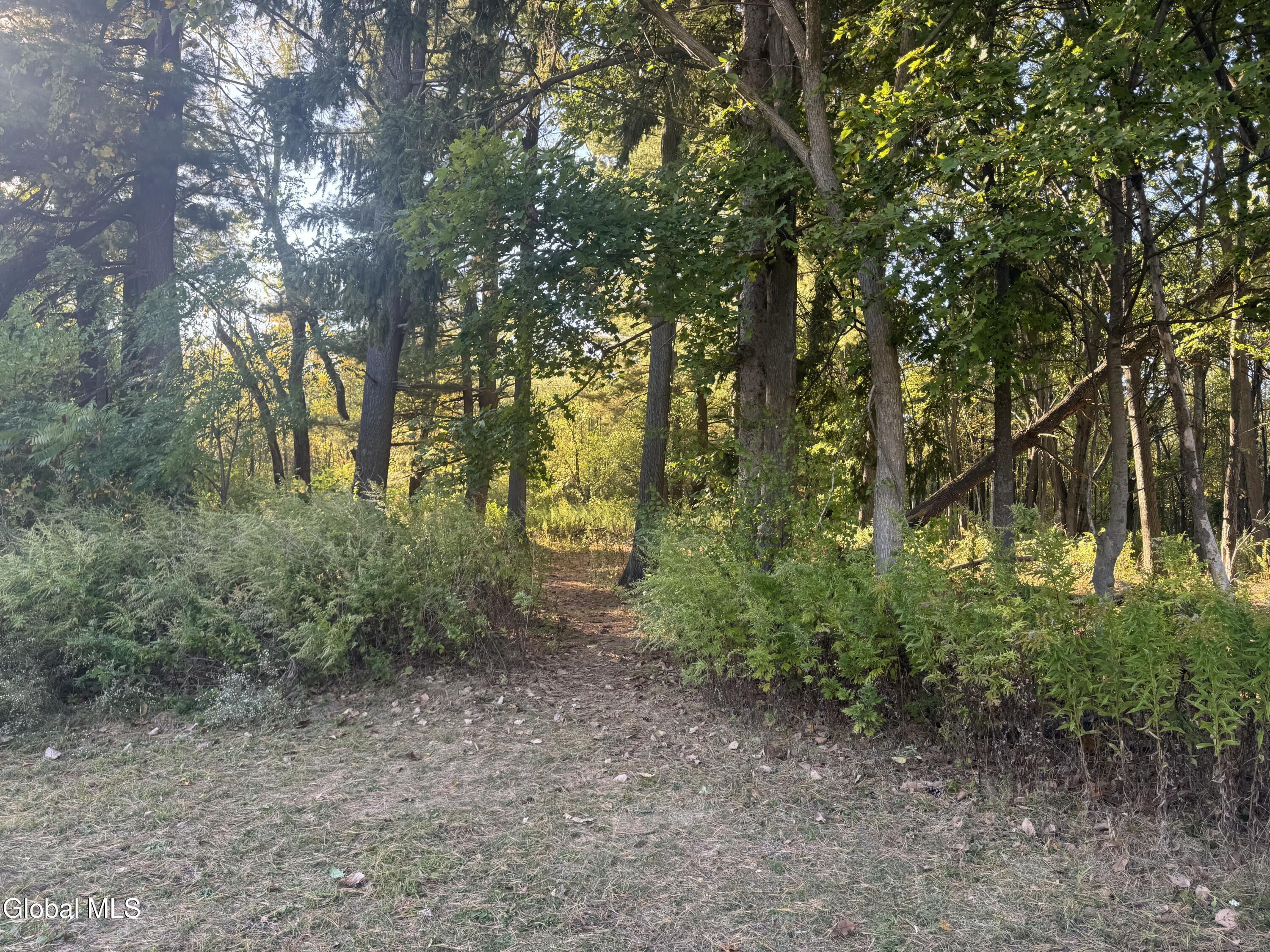 2482 Troy Schenectady Road Niskayuna, NY 12309 - Photo 9 of 11 IMG_5299