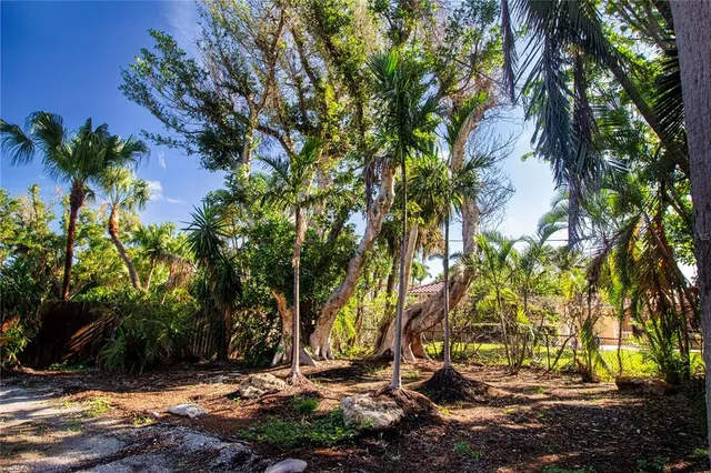 a view of a backyard