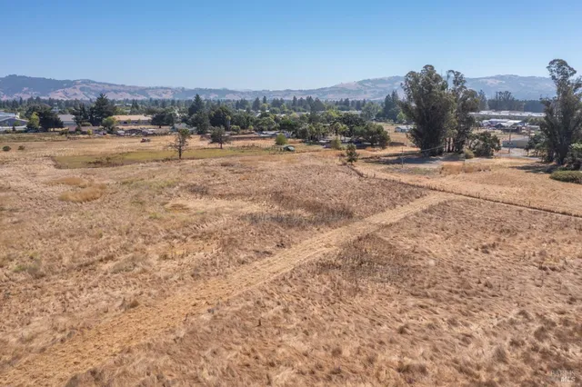 a view of ocean with trees