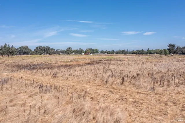 a view of large yard with trees