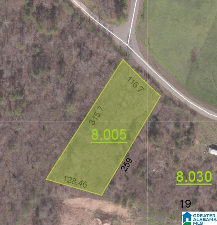 0 Verbon George Road Wellington, AL 36279 - Photo 2 of 3