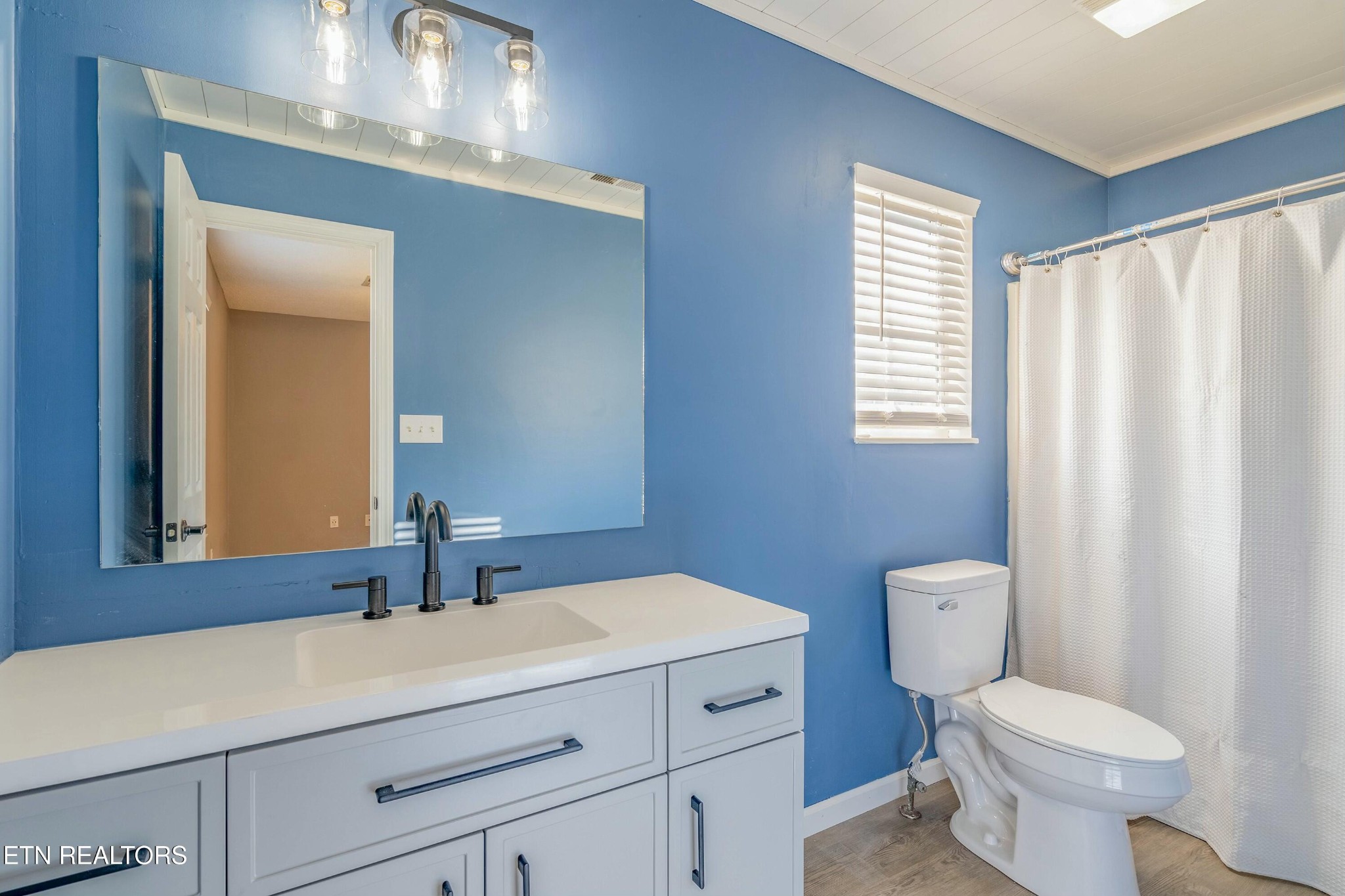 7724 Ralph Youmans Road Corryton, TN 37721 - Photo 11 of 19 a bathroom with a toilet a sink a mirror a window and vanity
