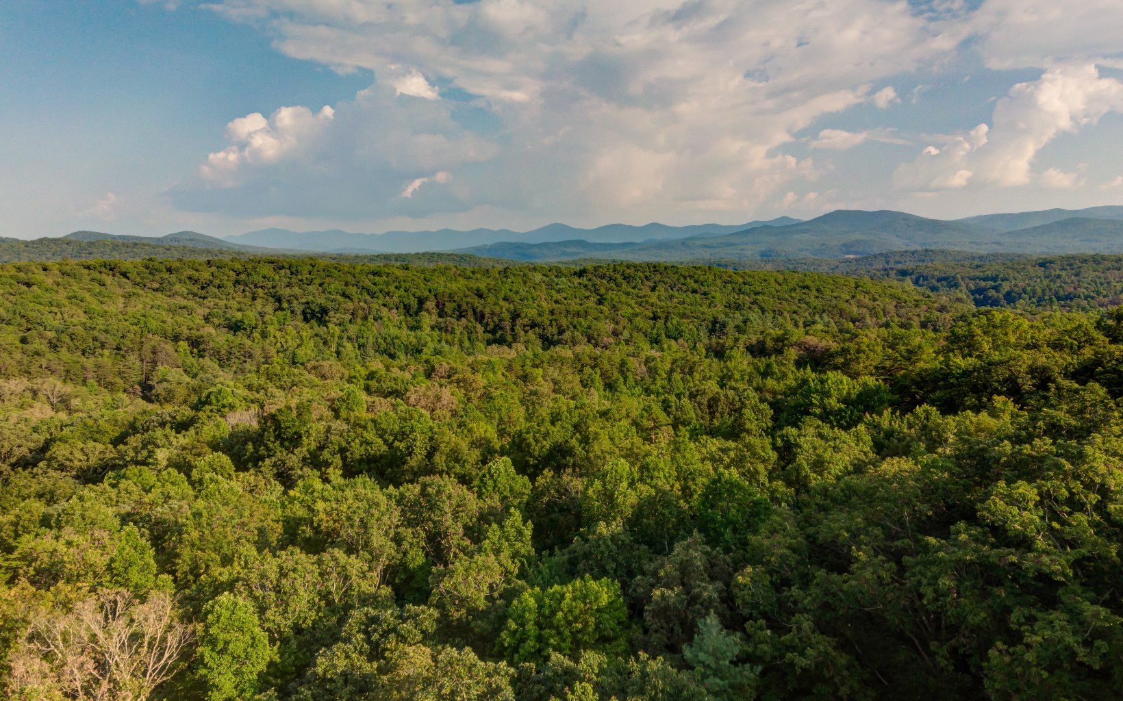 368 High Noon Road Morganton, GA 30560 - Photo 2 of 4 Additional View