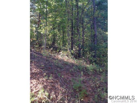 Lot 2 New Home Road Marshall, NC 28753 - Photo 1 of 1 Gallery Image 1