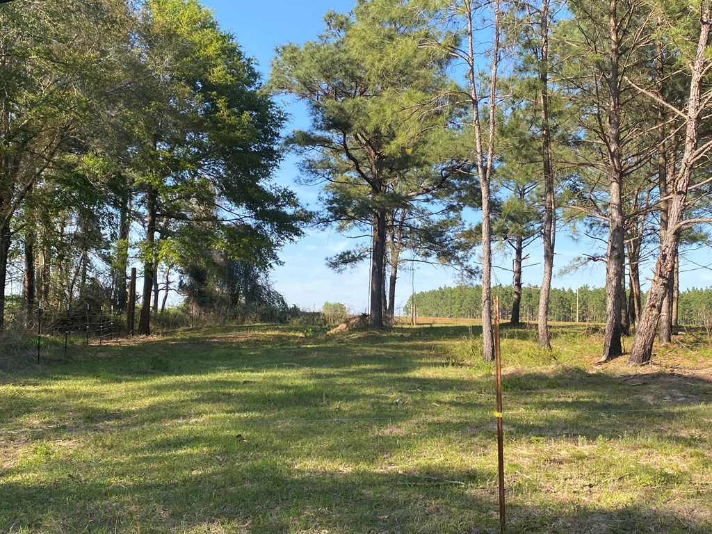 0 Co Road Abbeville, AL 36310 - Photo 38 of 53