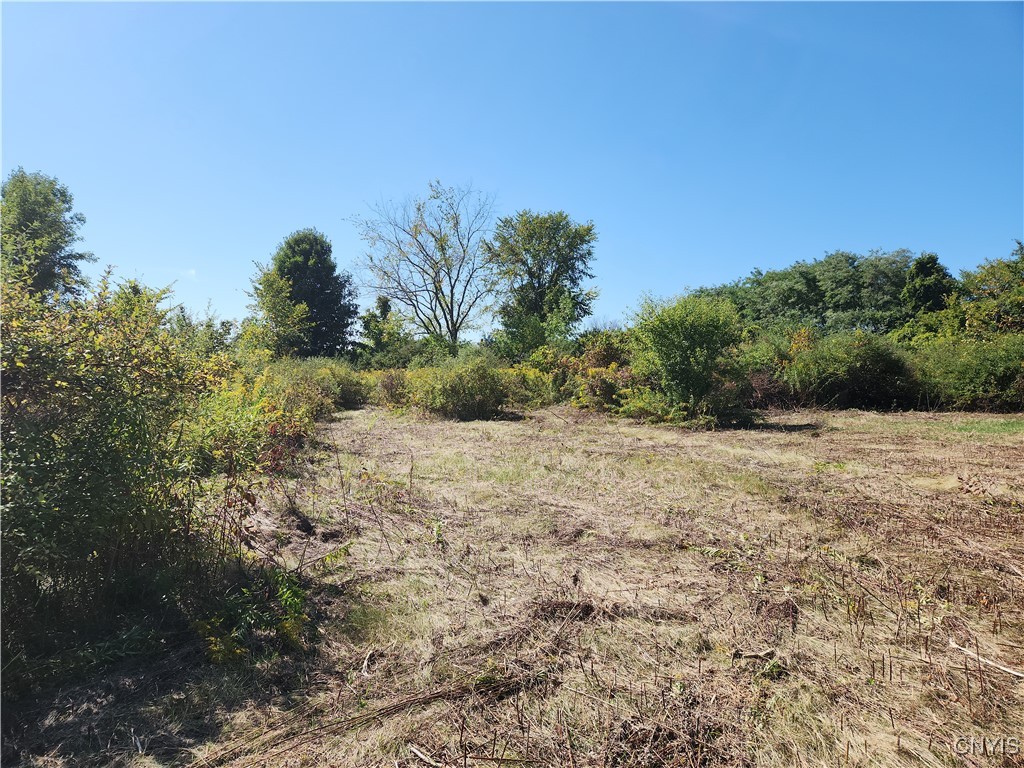 32032 Carter Street Road, Unit 121 Orleans, NY 13656 - Photo 11 of 11