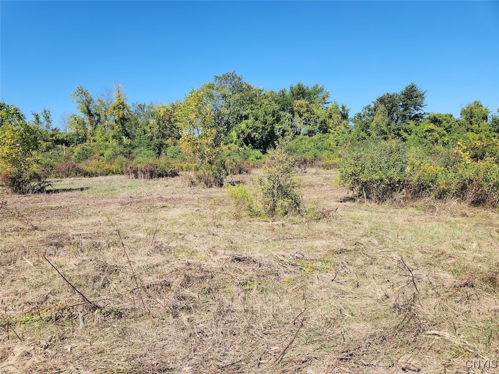 32032 Carter Street Road, Unit 121 Orleans, NY 13656 - Photo 2 of 11