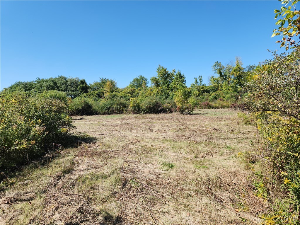 32032 Carter Street Road, Unit 121 Orleans, NY 13656 - Photo 7 of 11