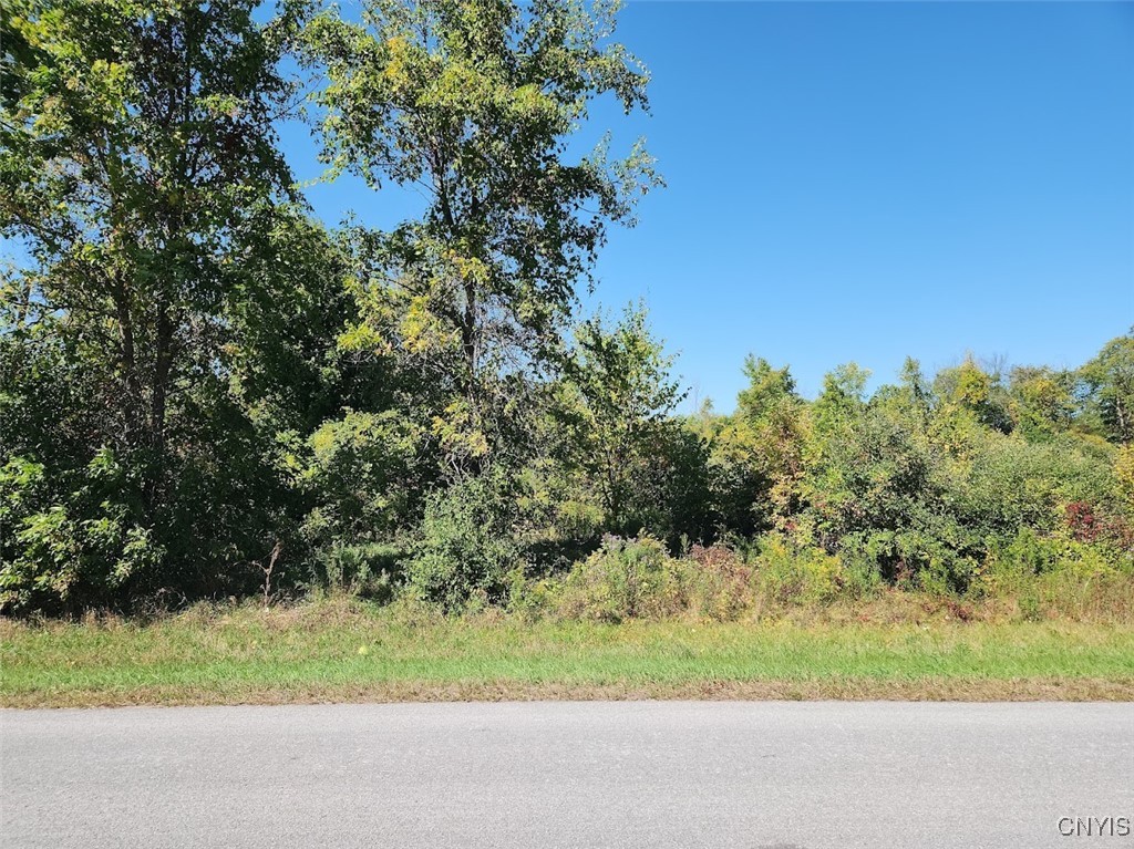 32032 Carter Street Road, Unit 121 Orleans, NY 13656 - Photo 10 of 11