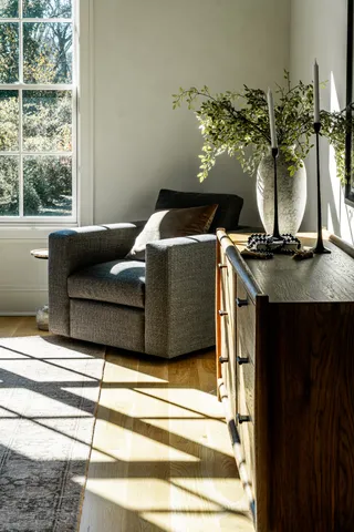 a living room with furniture and a potted plant