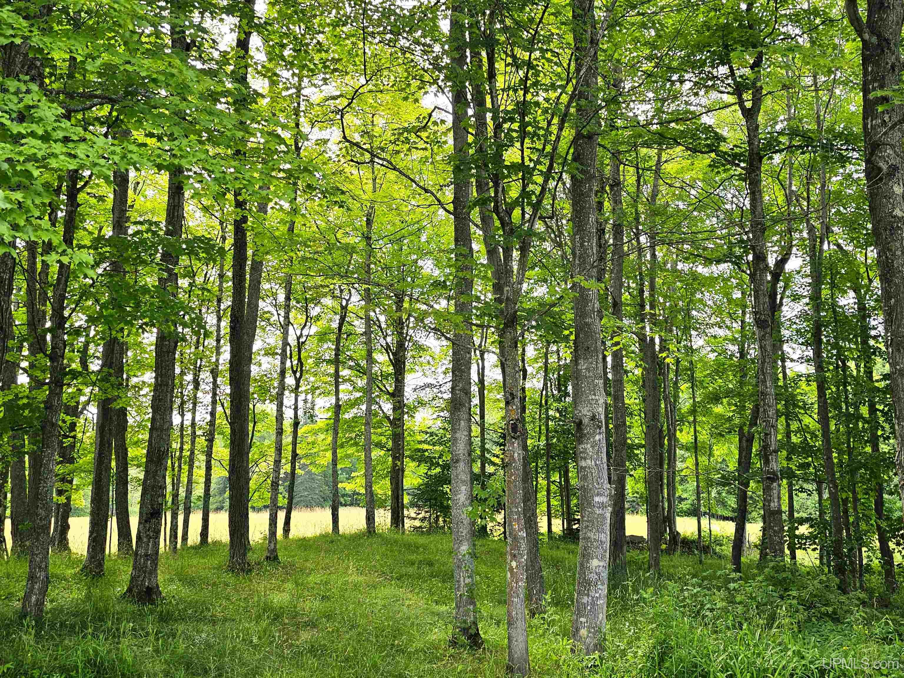 37485 Pike River Road Chassell, MI 49916 - Photo 11 of 41 Gallery Image 11