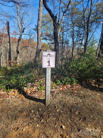 $19,900 | 0 Lure Ridge Dr Lake, Unit 1, Lake Lure, NC 28746