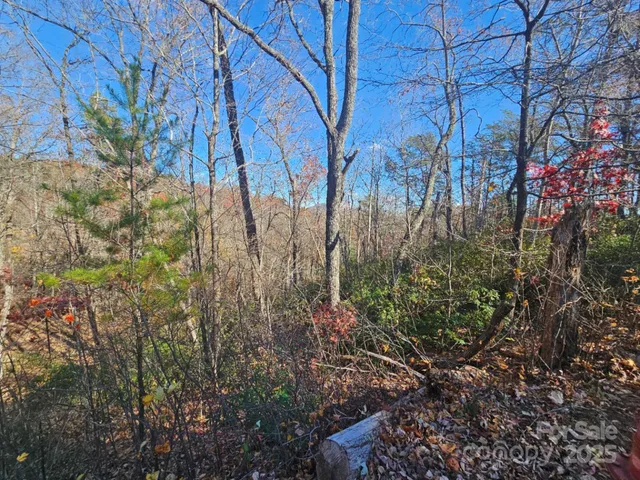 $19,900 | 0 Lure Ridge Dr Lake, Unit 1, Lake Lure, NC 28746