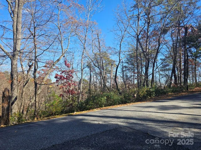 $19,900 | 0 Lure Ridge Dr Lake, Unit 1, Lake Lure, NC 28746