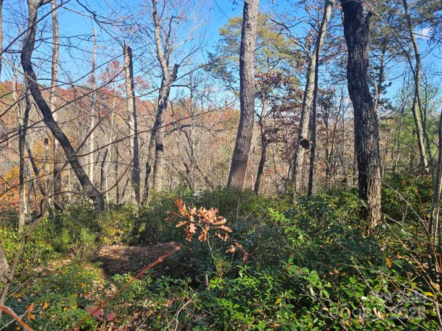 $19,900 | 0 Lure Ridge Dr Lake, Unit 1, Lake Lure, NC 28746