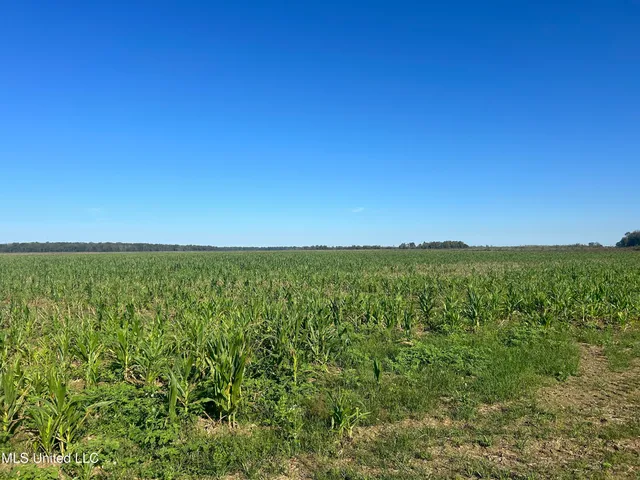 $920,000 | 17822 Highway 3, Yazoo City, MS 39194