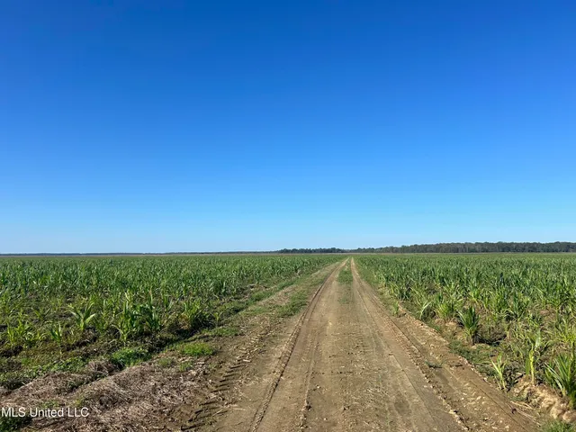 $920,000 | 17822 Highway 3, Yazoo City, MS 39194